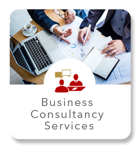 BusinessConsultancyServices_icon